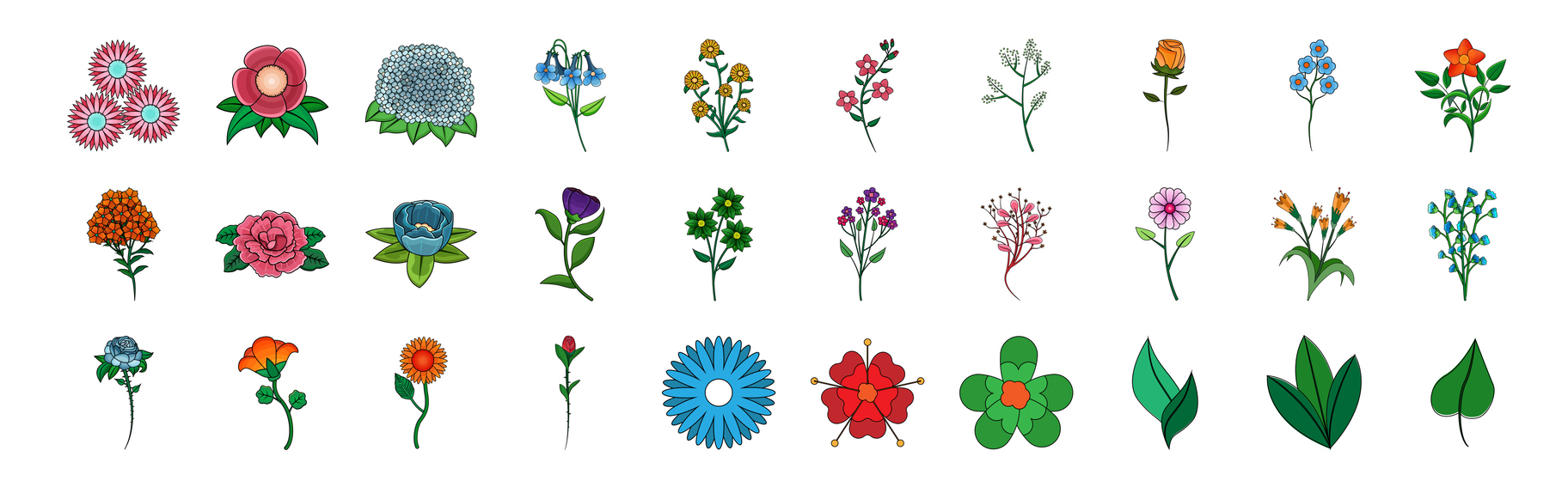 Flowers Glossary
