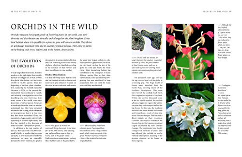 Orchids: A Practical Guide for Gardeners: With Advice on Growing and a Directory of 200 Orchids: With Advice on Growing, a Directory of 200 Orchids, and 600 Color Photographs - Image 3