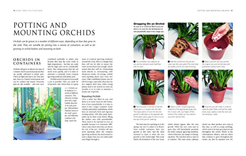 Orchids: A Practical Guide for Gardeners: With Advice on Growing and a Directory of 200 Orchids: With Advice on Growing, a Directory of 200 Orchids, and 600 Color Photographs - Image 4