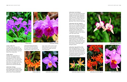 Orchids: A Practical Guide for Gardeners: With Advice on Growing and a Directory of 200 Orchids: With Advice on Growing, a Directory of 200 Orchids, and 600 Color Photographs - Image 5
