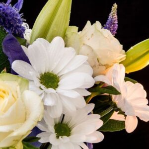 Sympathy and Funeral